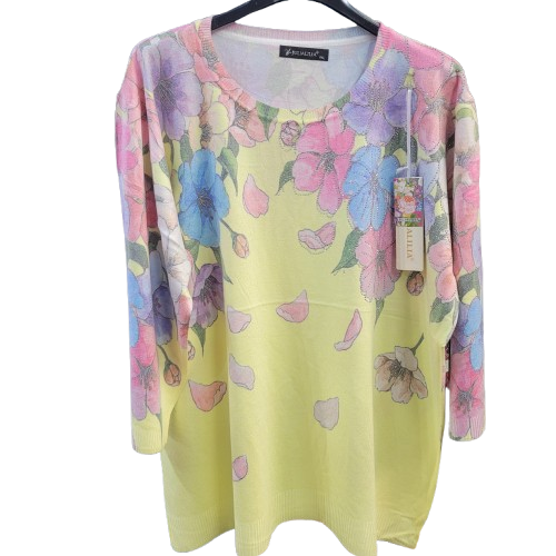 Pullover 34 B